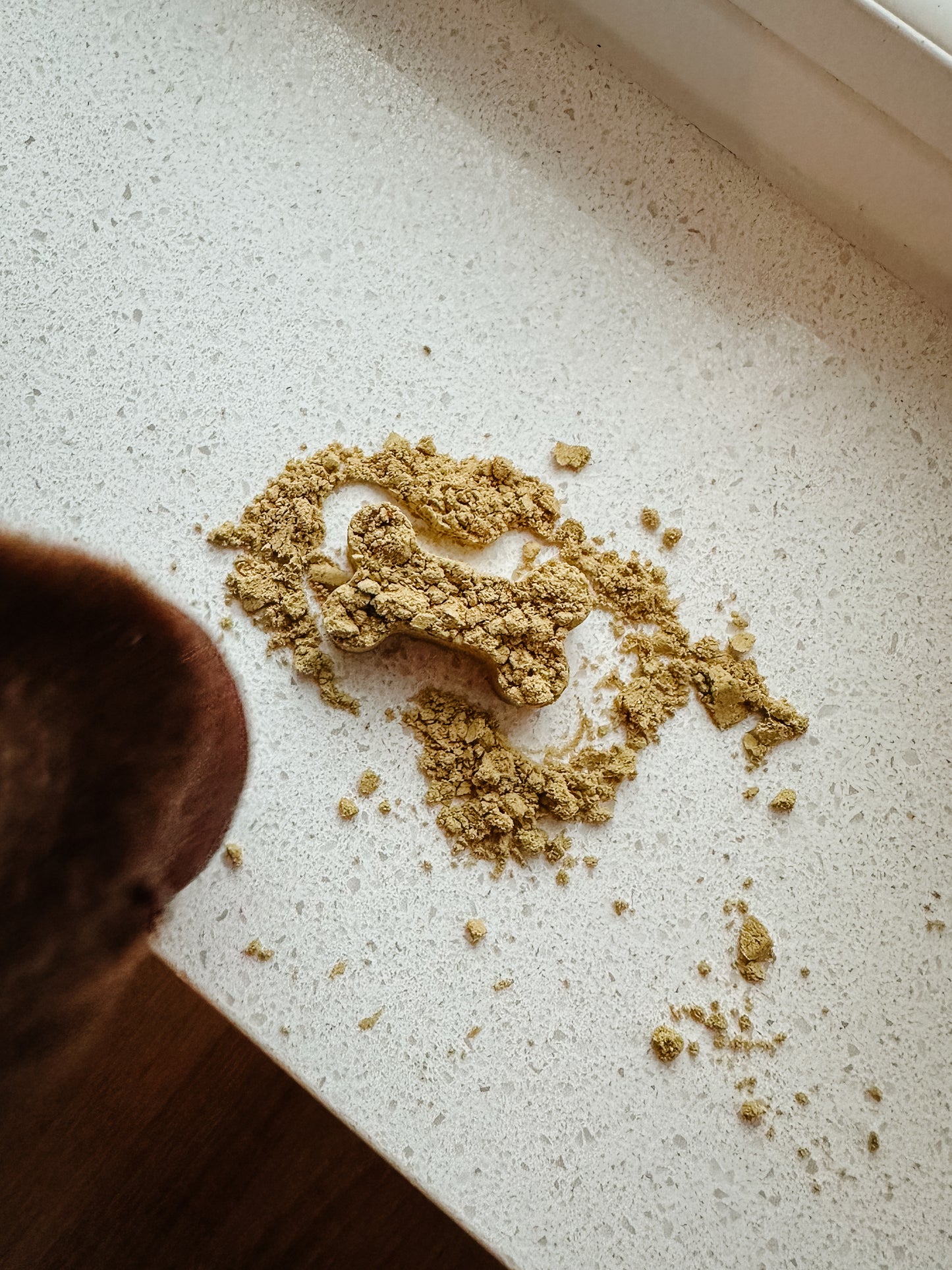 Organic Pumpkin Seed