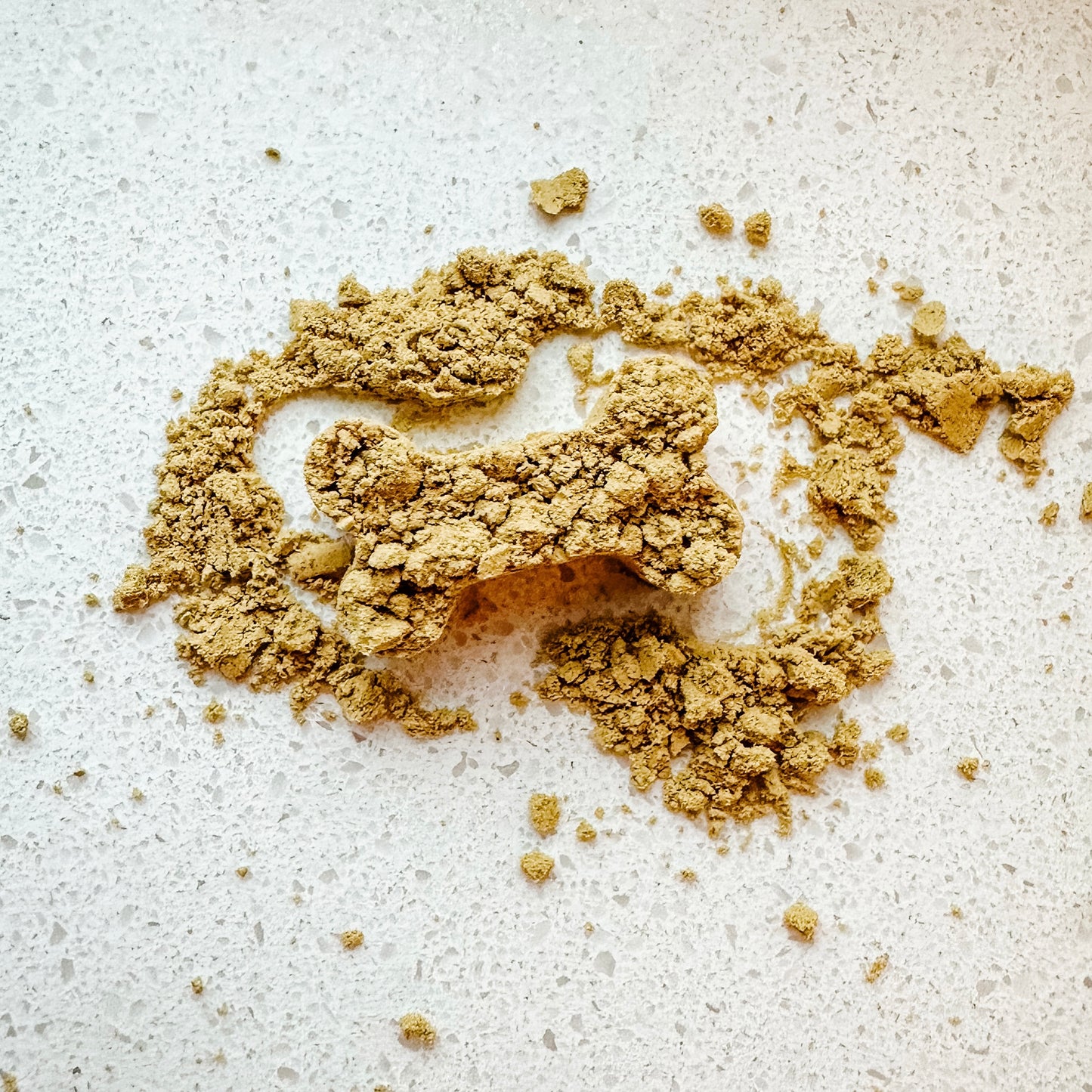Organic Pumpkin Seed