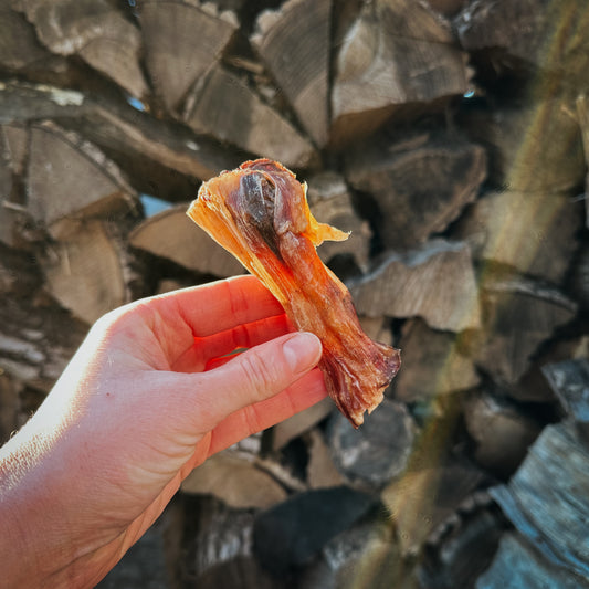 Bison Tendon Shorties