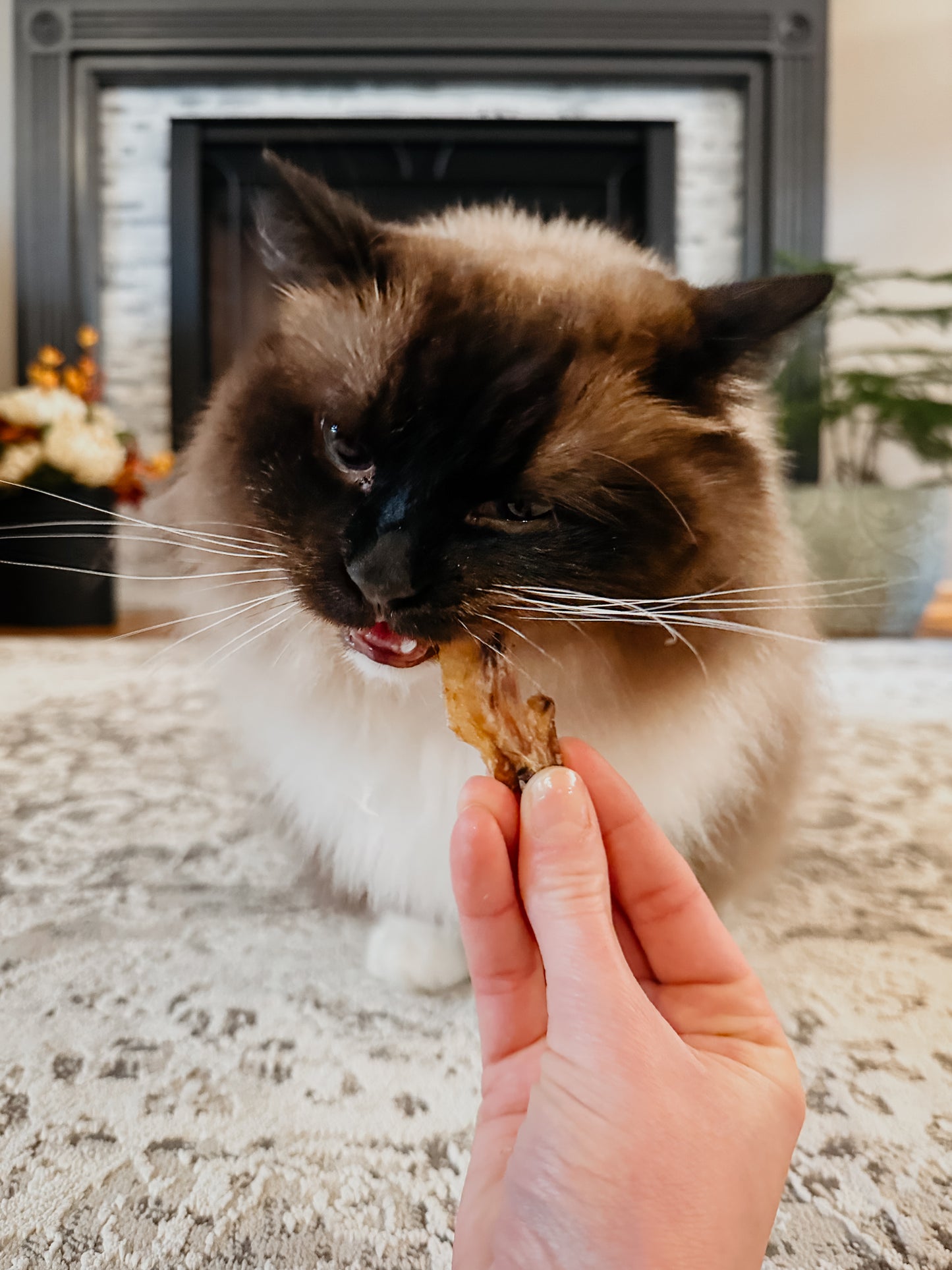 Pastured Chicken Wing Tips