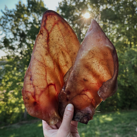 Pork Ears