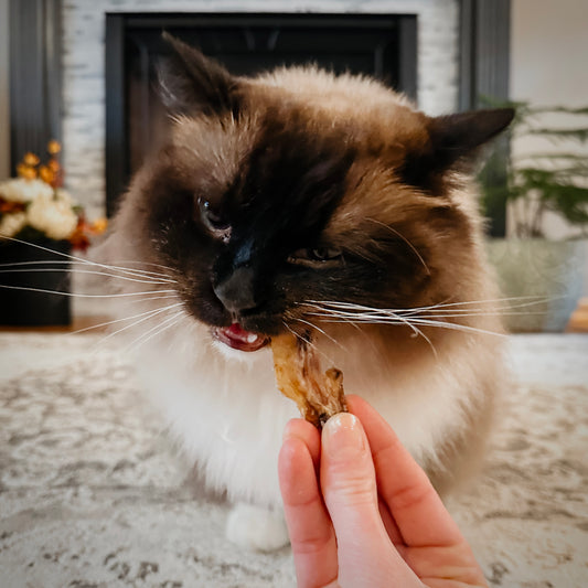 Pastured Chicken Wing Tips