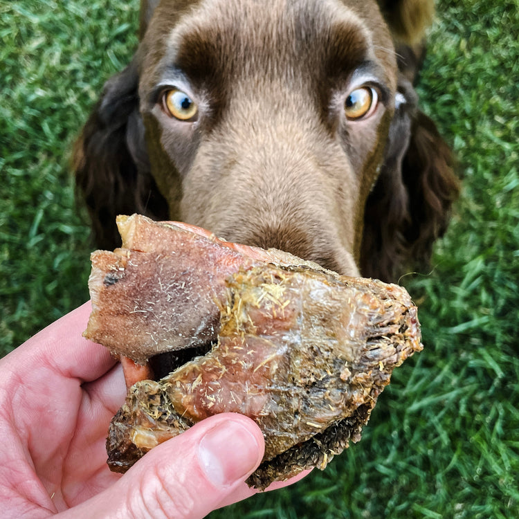 Bison Green Tripe