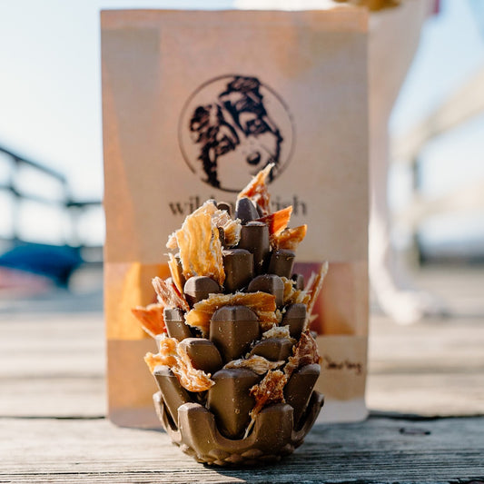 Loblolly Pinecone Puzzle Toy