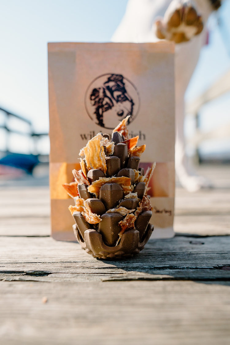 Loblolly Pinecone Puzzle Toy