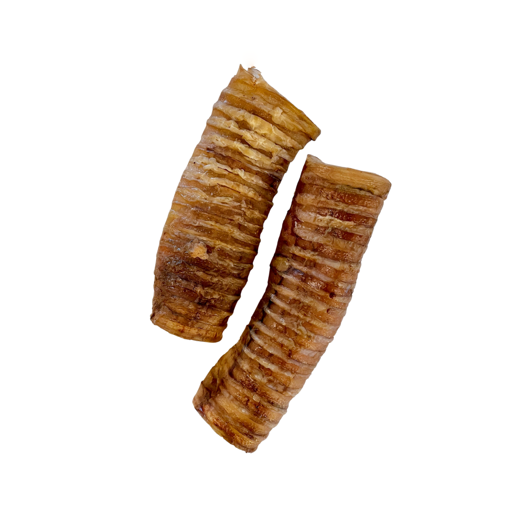 Elk Trachea Halves