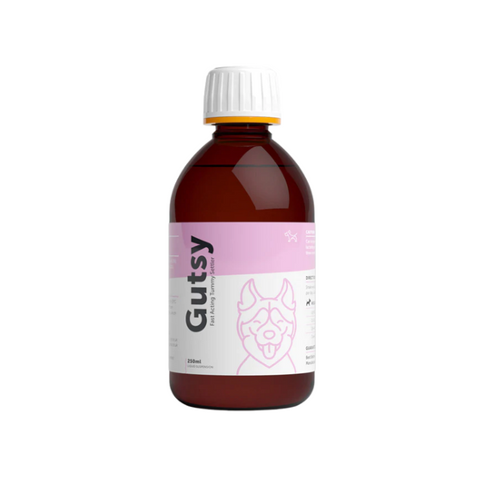 GUTSY – Fast-Acting Tummy Suspension