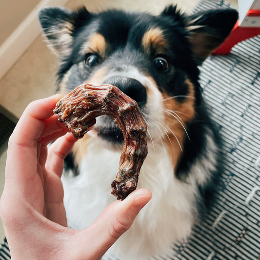 Pastured Chicken Necks