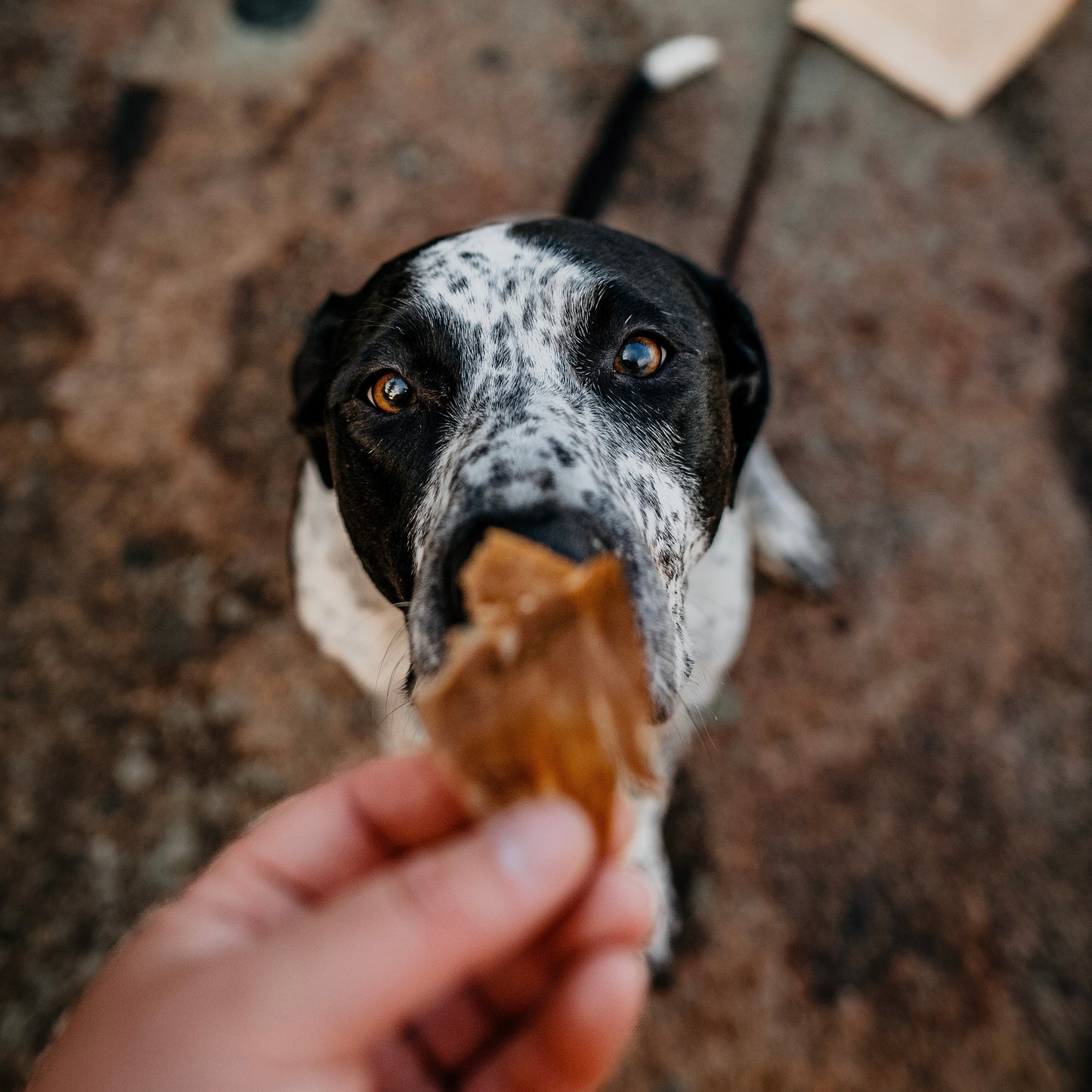 Pork Jerky - Thick Cut