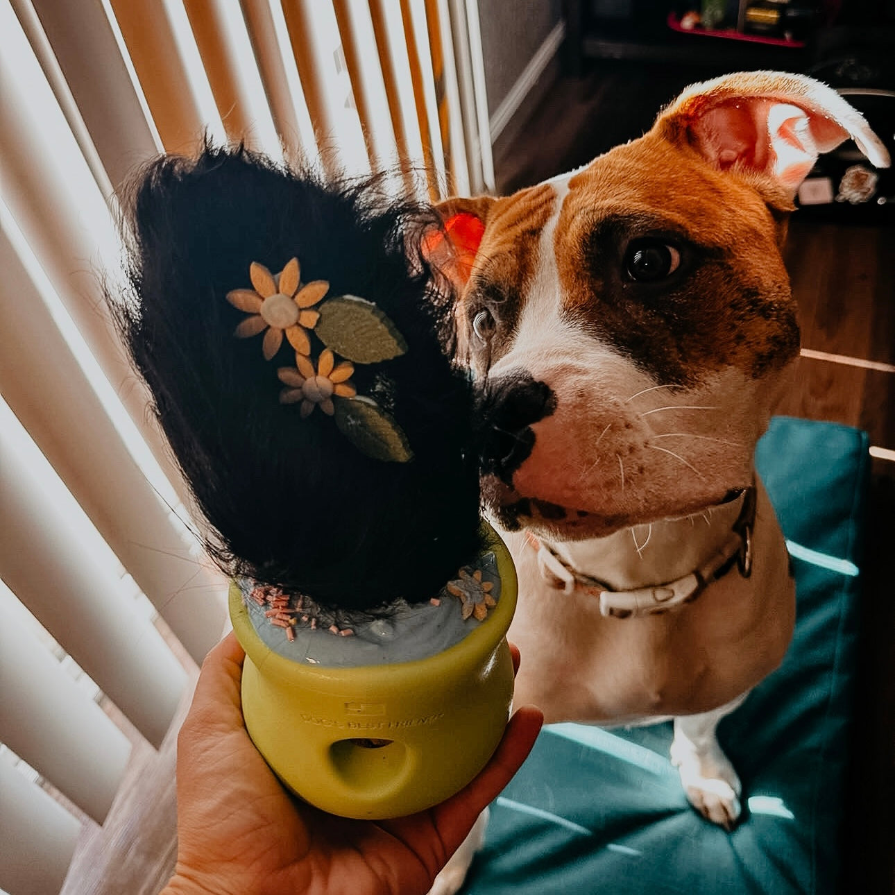 Bison Ears w/ Hair