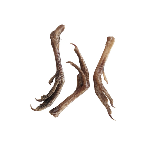 Quail Feet