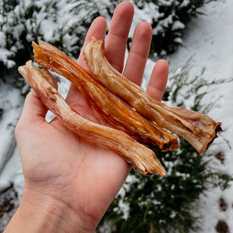 Grass Fed Elk Tendons