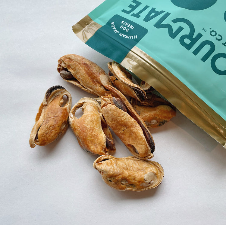 Organic Freeze Dried Green Lipped Mussels