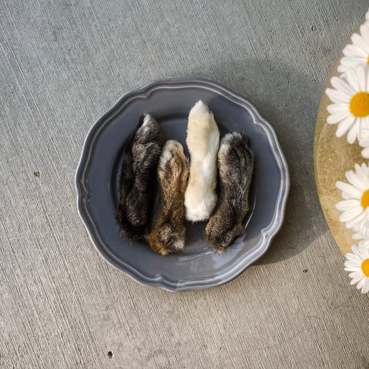 Rabbit Feet w/ Fur