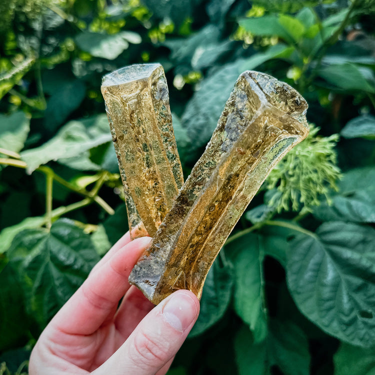 Marrow Chews