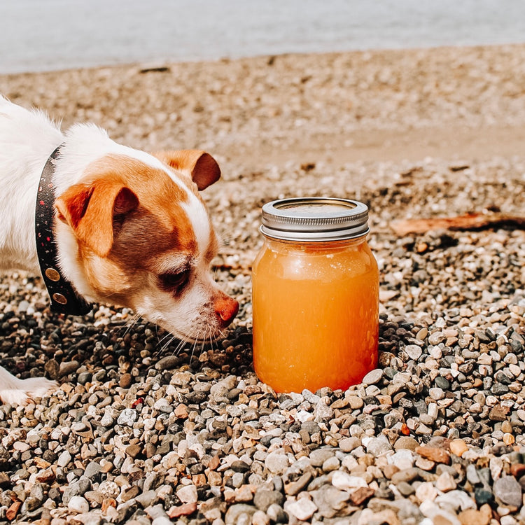 Rabbit Bone Broth