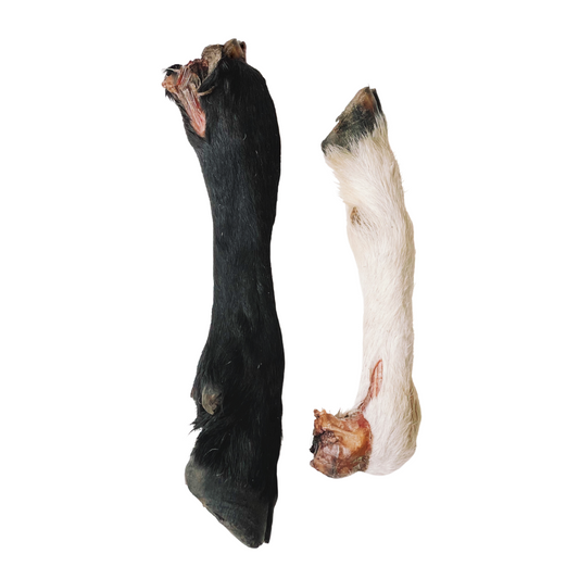 Grass Fed Lamb Trotter